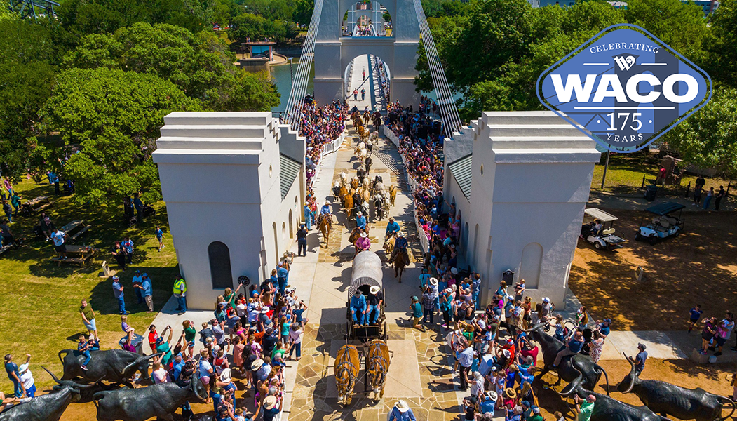 A crowd gathers at the Suspension Bridge for a longhorn cattle drive.