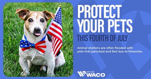 Protect Your Pets During the Fourth of July