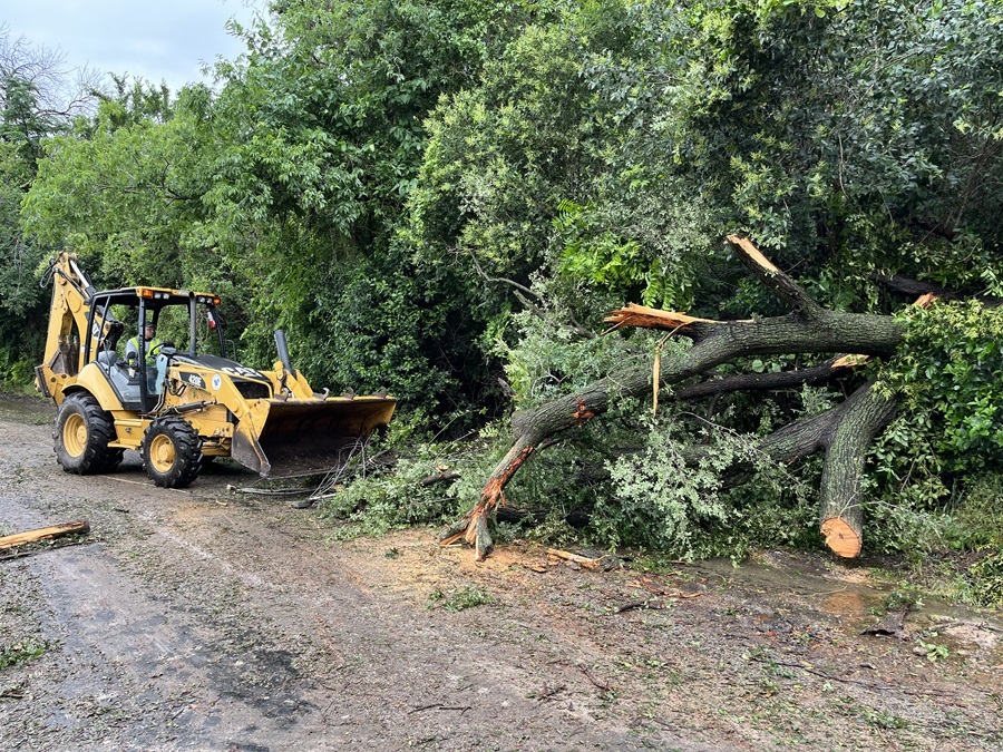 Bulldozer clearing large fallen branches