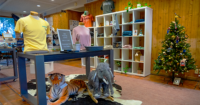 T-shirts, decorations, and stuffed animals displayed on merchandise tables